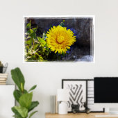 Dandelion in zonlicht poster (Thuiskantoor)