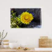 Dandelion in zonlicht poster (Keuken)