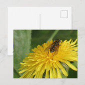 Dandelion & Insect DIY Briefkaart (Voorkant / Achterkant)