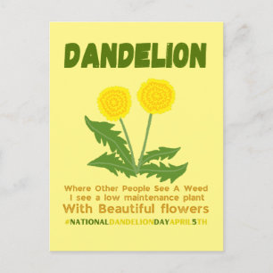 Dandelion is geen wiet in mijn tuin briefkaart