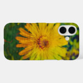 Dandelion jaune - Art fin iPhone 16 Coque (Verso (horizontal))