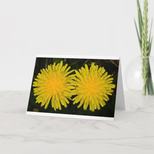 Dandelion, kaart (Voorkant)