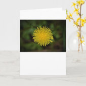 Dandelion, kaart (Gele Bloem)
