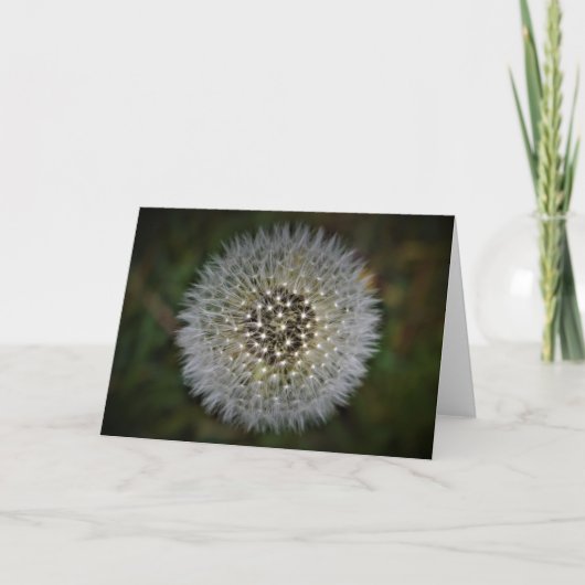 Dandelion, kaart (Voorkant)