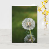 Dandelion, kaart (Gele Bloem)