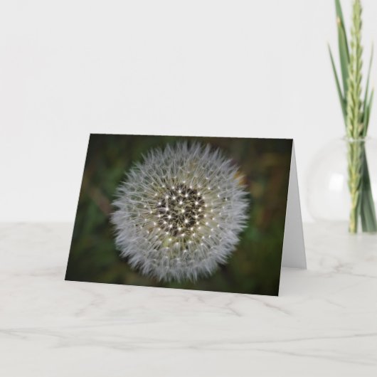 Dandelion, kaart (Voorkant)