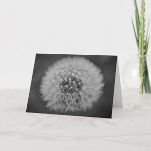 Dandelion, kaart