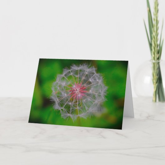 Dandelion, kaart (Voorkant)