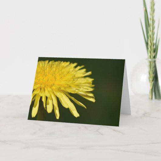 Dandelion, kaart (Voorkant)