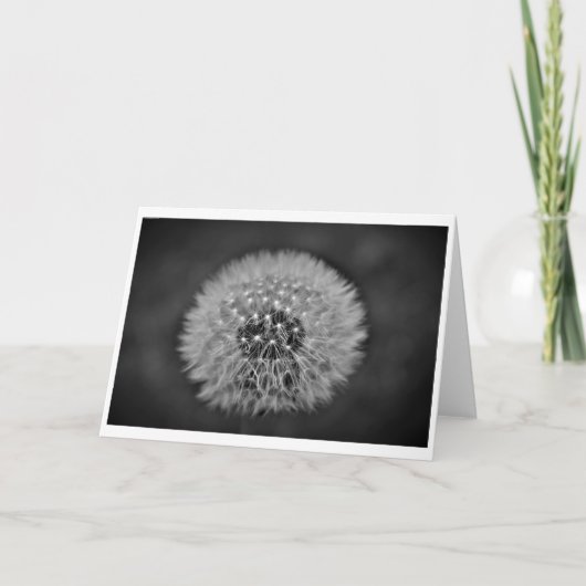 Dandelion, kaart (Voorkant)
