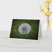 Dandelion, kaart (Gele Bloem)