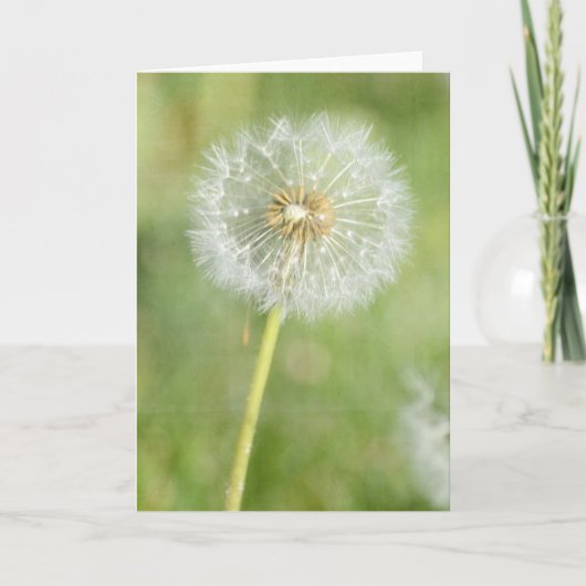 Dandelion Kaart (Voorkant)