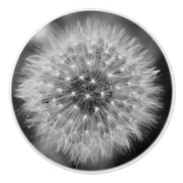 Dandelion Keramische Knop