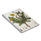 Dandelion (kleurengraving) notitieboek (Rechterzijde)