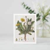 Dandelion (kleurgraving) briefkaart (Staand voorkant)