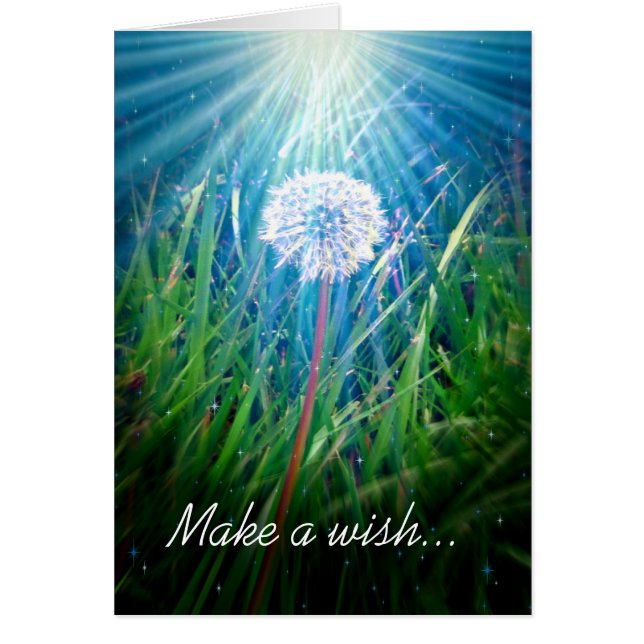 Dandelion Macro (Voorkant)