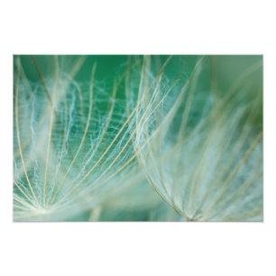 Dandelion macroon foto afdruk