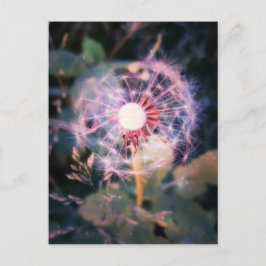 Dandelion Magic Briefkaart