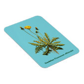 Dandelion Magneet (Rechterzijde)