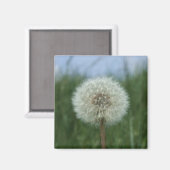 Dandelion Magnet Magneet (Voorkant / Achterkant)