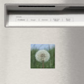 Dandelion Magnet Magneet (Insitu (Vaatwasser))