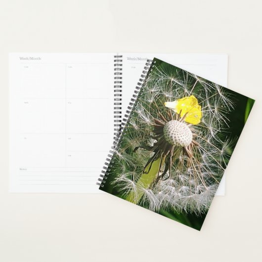 Dandelion mignon (Devant avec enveloppe)