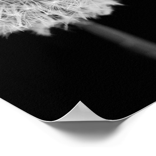 Dandelion "Moge al je wensen uitkomen!" Poster (Hoek)