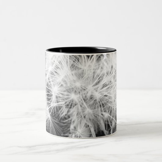 Dandelion Mok (Center)