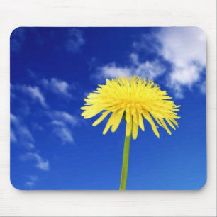 Dandelion Muismat