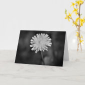 Dandelion / Noir, carte (Fleur jaune)