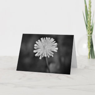 Dandelion / Noir, carte