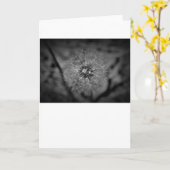 Dandelion - Noir, carte (Fleur jaune)