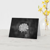 Dandelion / Noir, carte (Fleur jaune)
