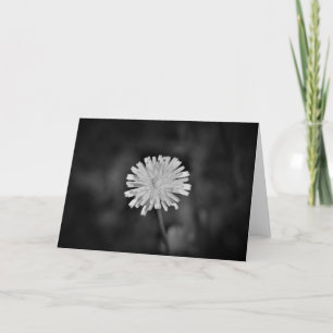 Dandelion / Noir, carte
