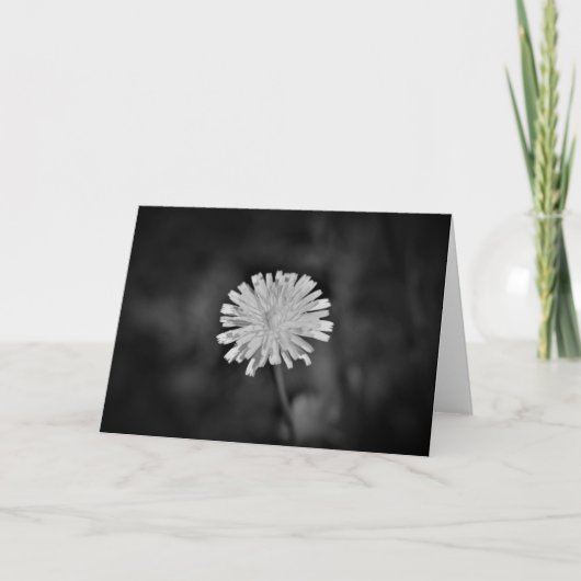 Dandelion / Noir, carte (Devant)