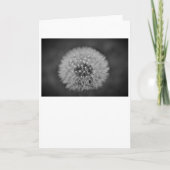 Dandelion - Noir, carte (Devant)