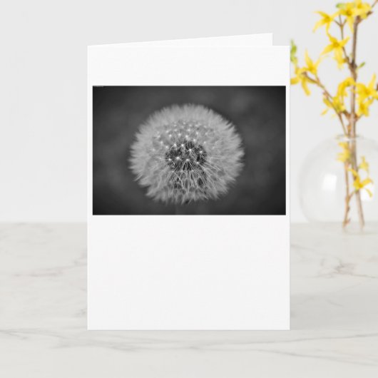 Dandelion - Noir, carte (Fleur jaune)