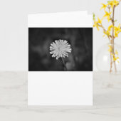 Dandelion / Noir, carte (Fleur jaune)