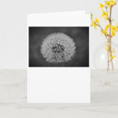 Dandelion - Noir, kaart (Gele Bloem)