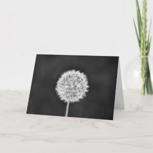 Dandelion - Noir, kaart