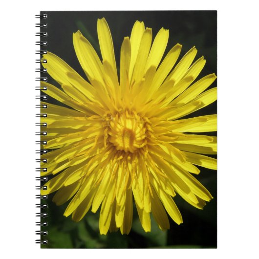 Dandelion Notitieboek (Voorkant)