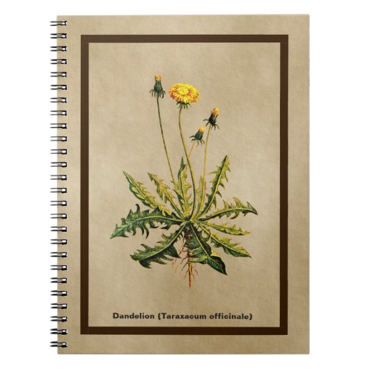 Dandelion op oud papier notitieboek (Voorkant)