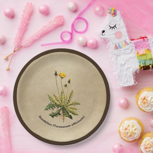 Dandelion op oud papier papieren bordje (Feest)