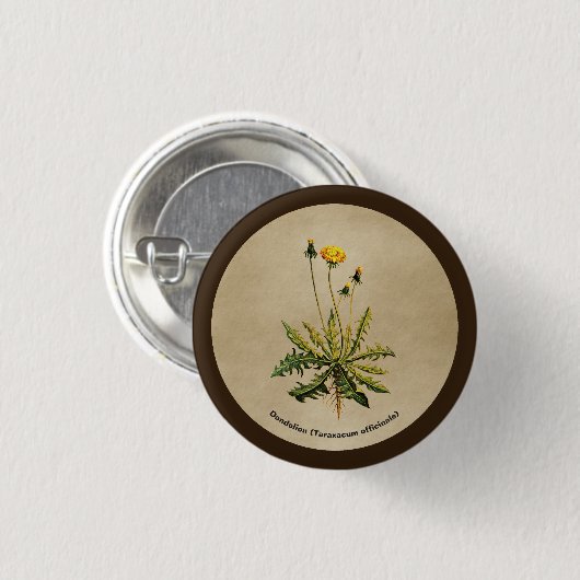 Dandelion op oud papier ronde button 3,2 cm (Voorkant /achterkant)