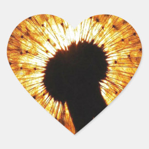 Dandelion op Sunset Hart Sticker