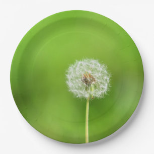 Dandelion Papieren Bordje