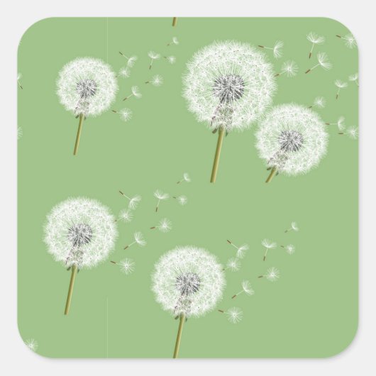 Dandelion Pattern on Green Background Vierkante Sticker (Voorkant)