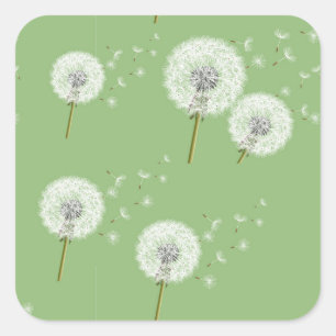 Dandelion Pattern on Green Background Vierkante Sticker