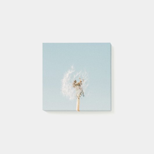 Dandelion Post-It (Devant)