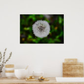 Dandelion Poster (Keuken)